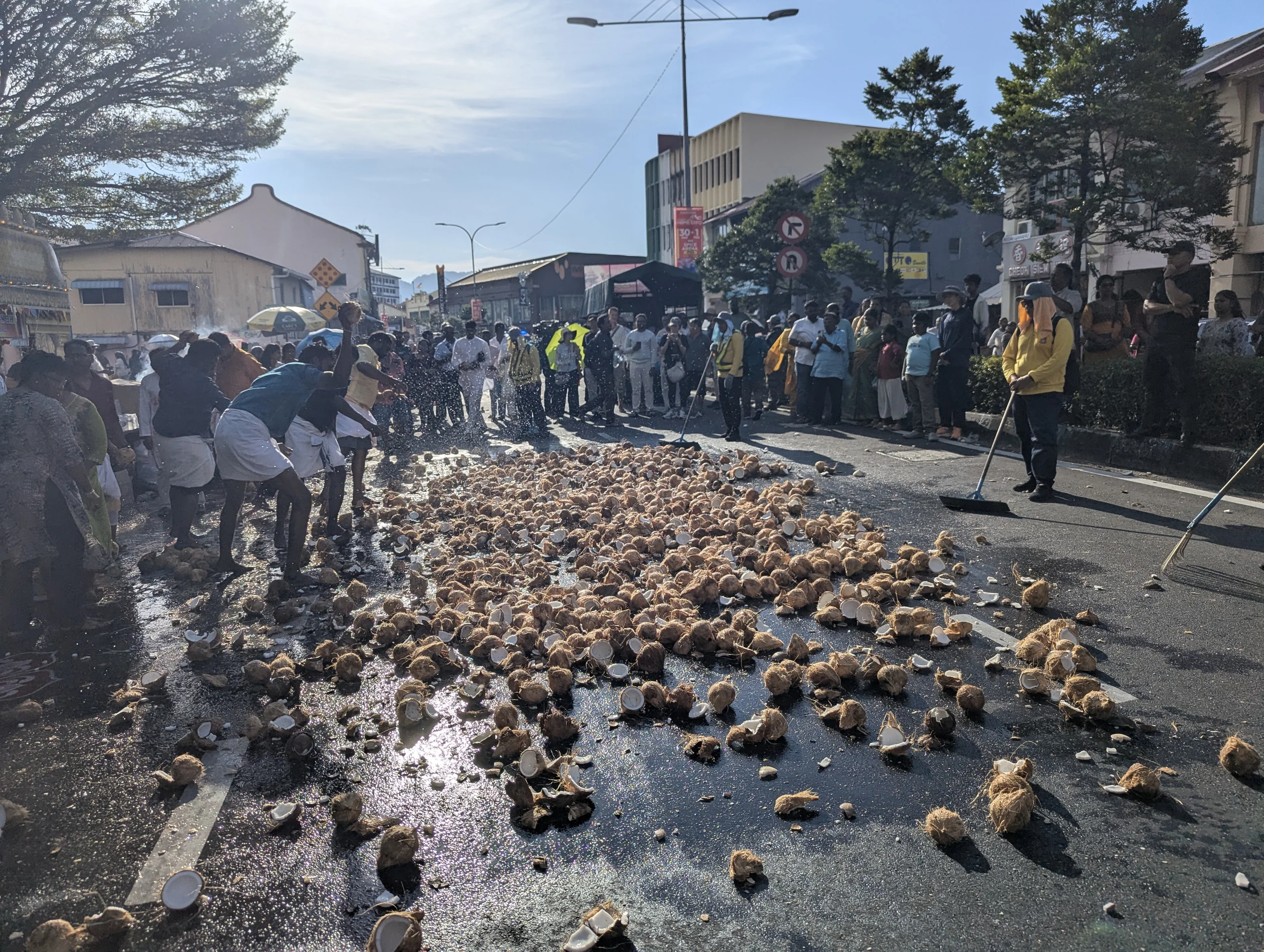 More coconut smashing!