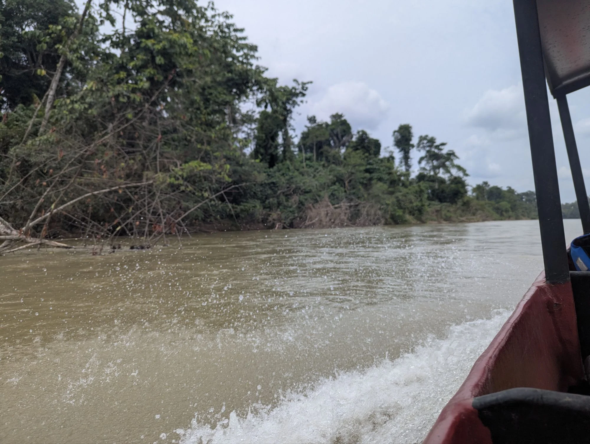 The ride with the boat took quite a while and it was nice to observe the shore, the jungle and how the driver had to put quite some effort to find the deepest paths through the river to not touch the ground.