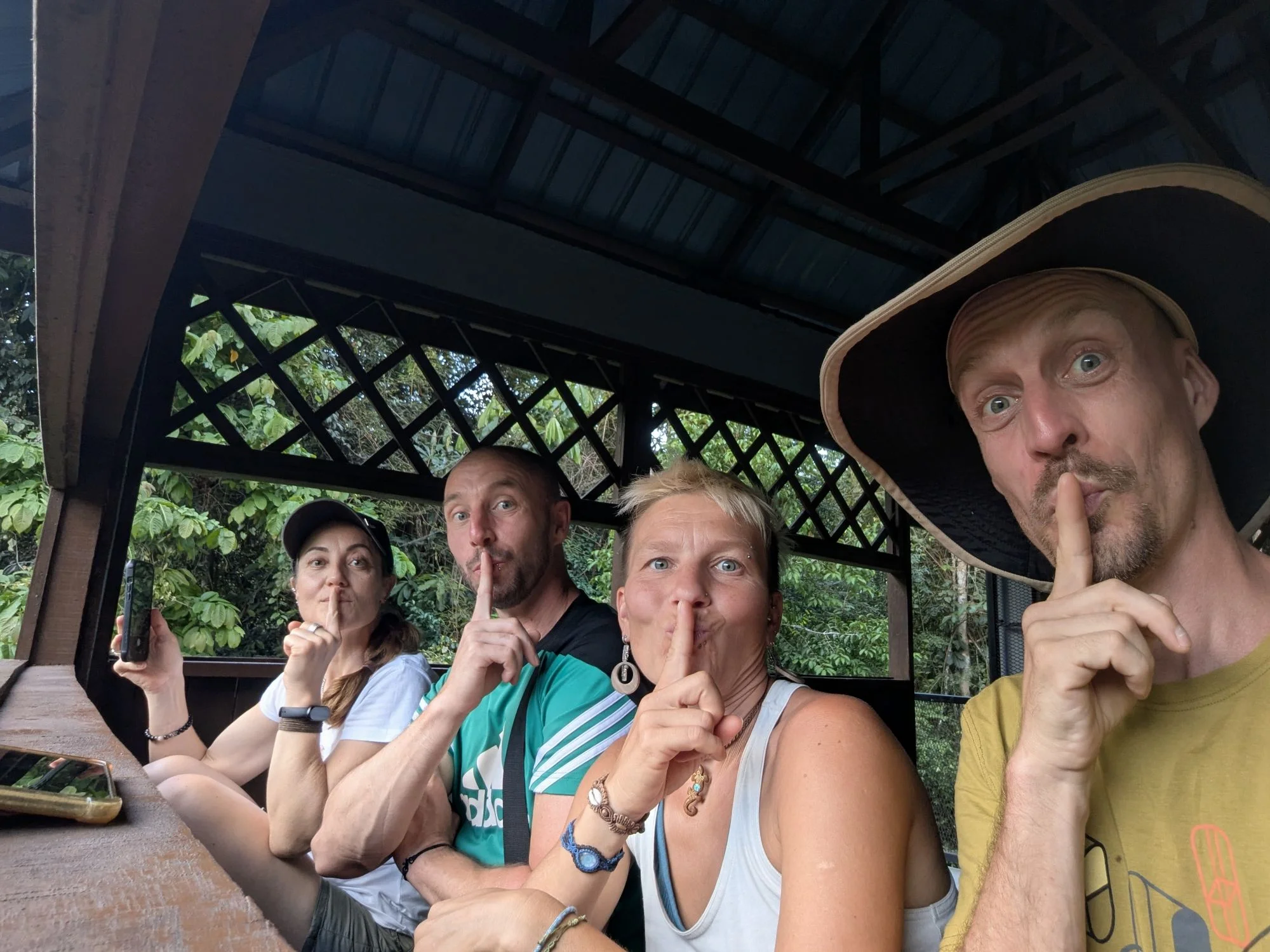 One evening, we went to an observation post and waited and observed for a hour in the hopes of seeing some jungle elephants &mldr;